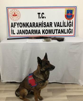 Jandarmanın Operasyonunda Uyuşturucu Madde Ve Tarihi Eser Ele Geçirildi
