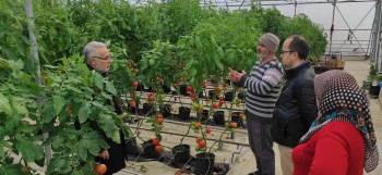 Jeotermal Kaynaklı Seralarda Dönem Kontrolleri
