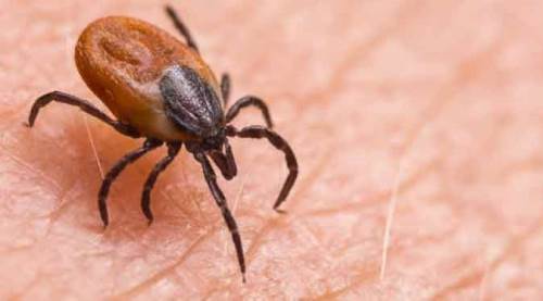 Kabus geri döndü: Sakın bunu yapmayın!