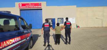 Kaçak Şahsı Jandarma Yakaladı
