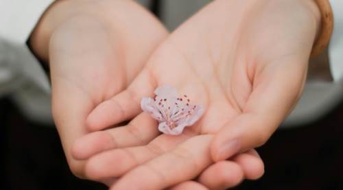 Kadife Elli Ne Demek? Mecazi Anlamı ve TDK Açısından Açıklaması