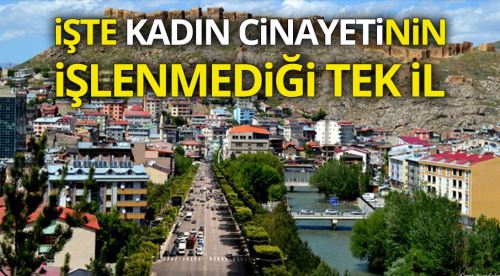 Kadın cinayetinin işlenmediği tek il Bayburt!