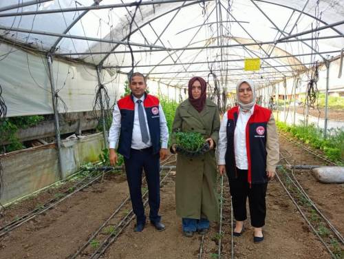 Kadın üreticilere destek yerinde incelendi