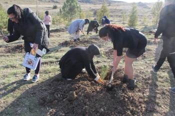 Kadınlar Fidanları Toprakla Buluşturdu

