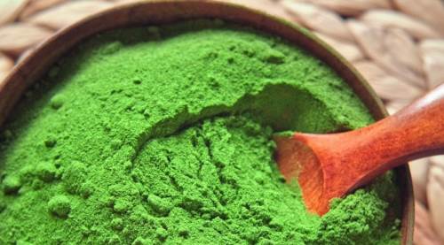 Kahve Yerine Moringa Daha Dinç Tutar Mı? Moringa'nın Enerji Verici Gücü ve Kahveyle Karşılaştırması