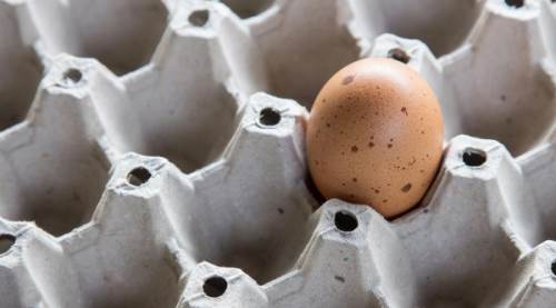 Kahverengi Yumurta Beyazdan Daha mı Sağlıklı?