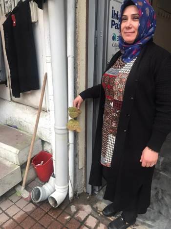 Kaldırımda Çıkan Dut Ağacı Görenleri Şaşırtıyor
