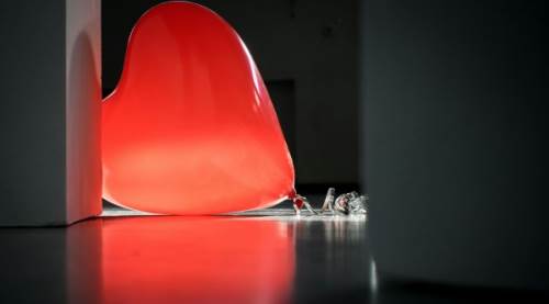 Kalp Nakli Hangi Durumlarda Yapılır? Donörün Hisleri Alıcıya Geçer mi? 