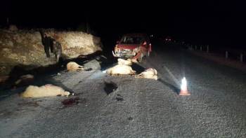 Kamyonet Koyun Sürüsünün İçine Daldı Ardından Facia Yaşandı
