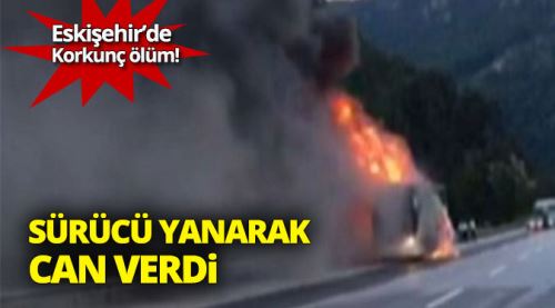 Kamyonet sürücüsü yanarak can verdi!