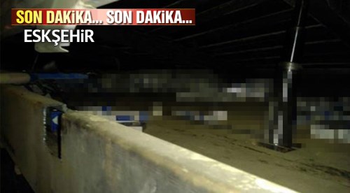 Kamyonun gizli bölmesinden bunlar çıktı!