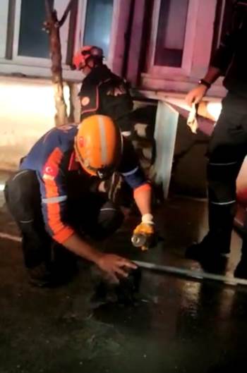 Kanalizasyon Çukurundan Kurtarılan Yavru Köpek Sayısı 3 Oldu
