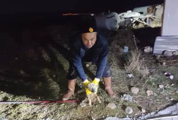 Kanalizasyon Logarında Mahsur Kalan Küçük Yavru Köpeğin İmdadına İtfaiye Ekipleri Yetişti
