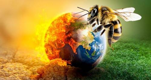 Kapımızdaki tehlike: Eskişehir'de mevsimleri şaşırdılar!