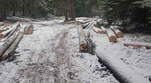 Kar Eskişehir'in kapısına kadar dayandı ama...