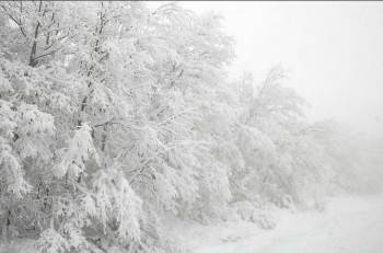 Kar Yağışı Çocukları Mutlu Etti
