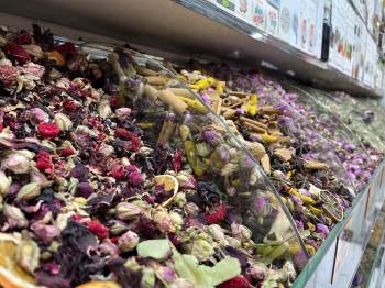 Kar yağışının olmaması bağışıklığı etkiliyor: Çaresi ise...