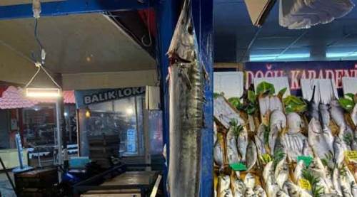 Karadeniz'den Eskişehir'e geldi: 2 bin liraya satılıyor!