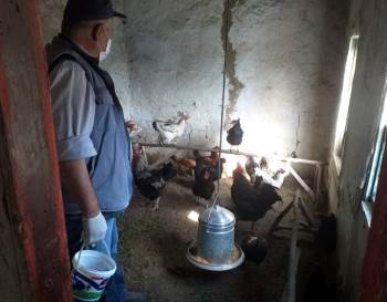 Karantina Altındaki Köydeki Tavukları Ve Köpeği İçin Cimer’E Başvurdu
