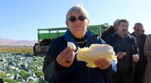 Karatay açıkladı işte dünyanın en sağlıklı yiyeceği