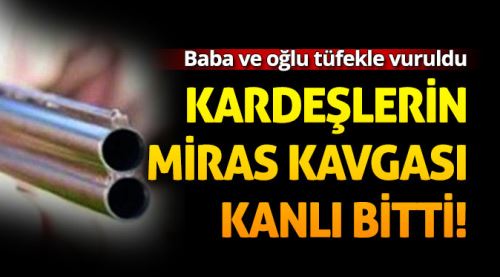 Kardeşler miras için birbirine girdi: 2 yaralı