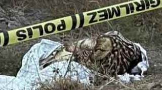 Karısına fare zehri verip işe gitti, can çekiştiğini görünce...