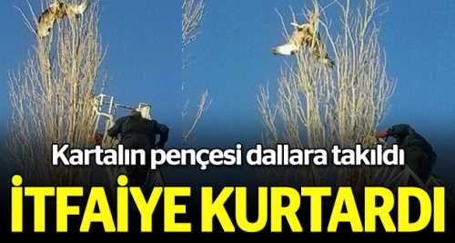 Kartalın imdadına itfaiye yetişti