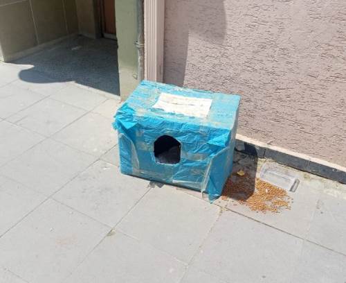 Karton kutudan barınak, mahalleye örnek oldu