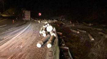 Kavak Yüklü Kamyon Devrildi; 1 Yaralı
