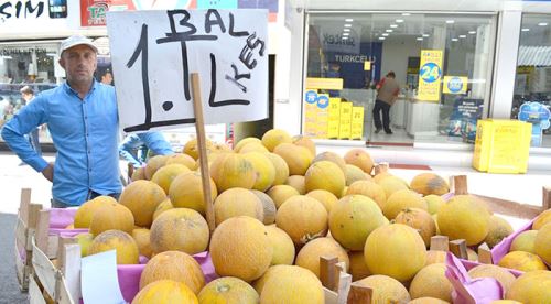 Kavun satışlarında hayal kırıklığı