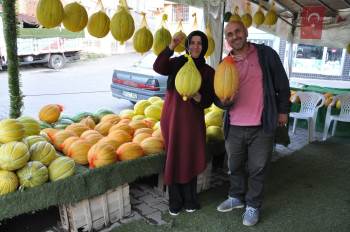 Kavunun Ömrü Özel File İle Uzuyor
