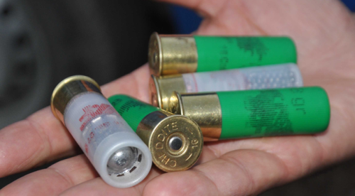 KAYINVALİDE VE BALDIZI ÖLDÜRDÜ