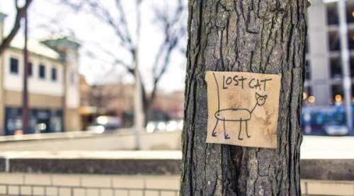 Kayıp İlanı Nasıl Verilir? – Kapsamlı Bir Rehber