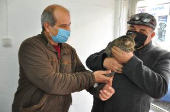 Kayıp Kedisine 6 Gün Sonra Kavuştu
