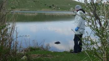 Kayıp Şahsın Cansız Bedeni Gölette Bulundu
