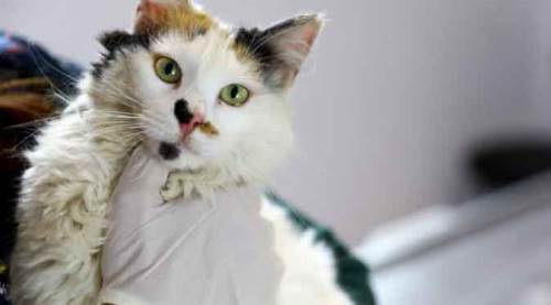 Kayıt altına aldırmayanlar için zaman daralıyor: Para cezası var!