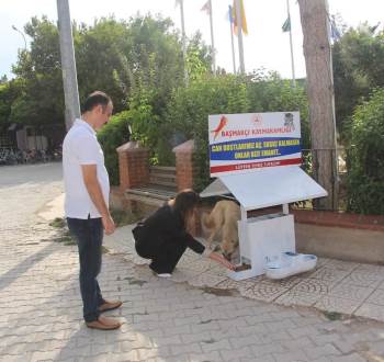 Kaymakam Ateş Yeni Görev Yerine Giderken Can Dostları Unutmadı
