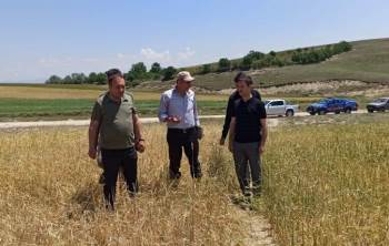 Kaymakam İrdelp, Hasar Tespit Çalışmalarına Katıldı
