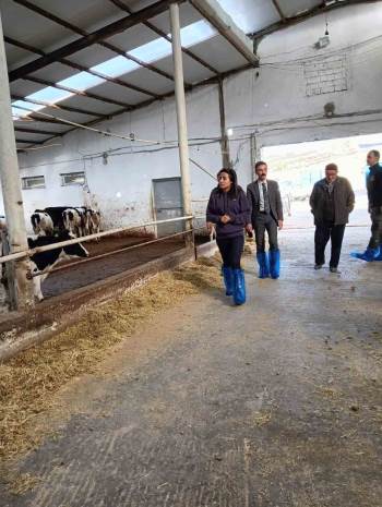 Kaymakam Kılıçtürk, Üreticileri Ziyaret Etti
