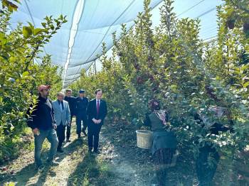 Kaymakam Nas Hasada Katıldı
