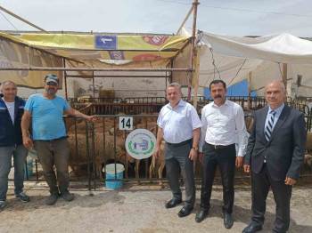 Kaymakam Öztürk Hayvan Pazarında İncelemelerde Bulundu
