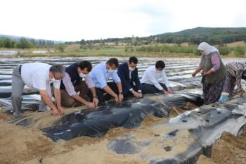 Kaymakam Soylu: "Amacımız Üreticimize Yeni Gelir Kaynakları Oluşturmaktır"
