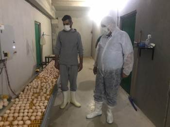 Kaymakam Ünal Damızlık Yumurta Üretme Çiftliğini İnceledi

