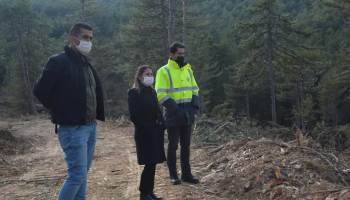 Kaymakam Yazıcı Orman Tensil Çalışmalarını İnceledi
