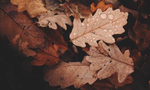 Kayseri'de hava durumu nasıl olacak? (1 Kasım 2024)