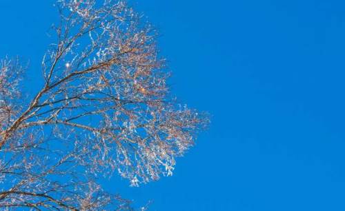 Kayseri'de hava durumu nasıl olacak? (12 Kasım 2024)