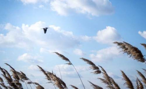 Kayseri'de hava durumu nasıl olacak? (14 Ekim 2024)