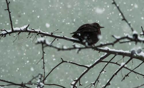 Kayseri'de hava durumu nasıl olacak? (16 Aralık 2024)