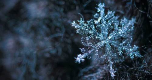 Kayseri'de hava durumu nasıl olacak? (16 Ocak 2025)