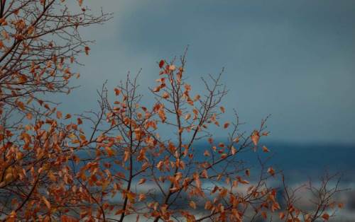 Kayseri'de hava durumu nasıl olacak? (20 Kasım 2024)